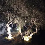 Bed and breakfast L'antica Quercia 3*