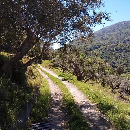 L'antica Quercia