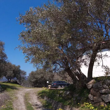 L'antica Quercia Bed & Breakfast