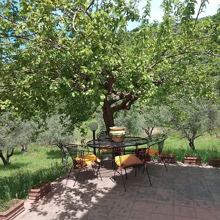L'antica Quercia Castell'Umberto