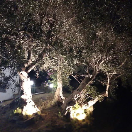 Bed & Breakfast L'antica Quercia *