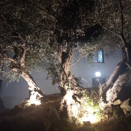 Bed & Breakfast L'antica Quercia *