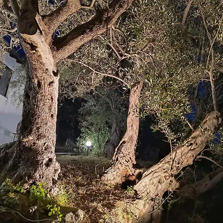 Bed & Breakfast L'antica Quercia *
