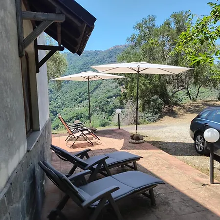 L'antica Quercia *