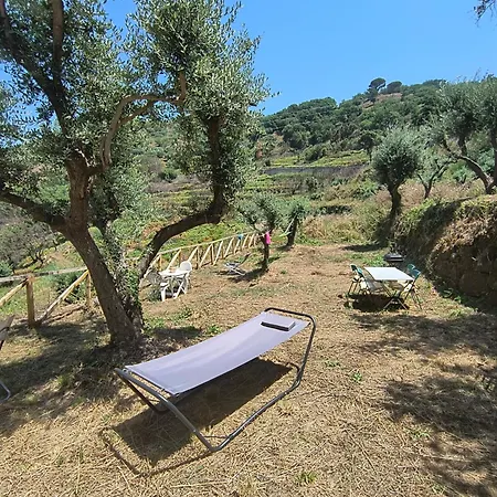 L'antica Quercia Castell'Umberto