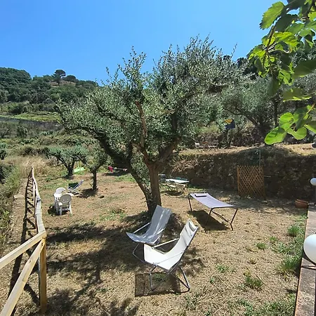 Bed & Breakfast L'antica Quercia Castell'Umberto