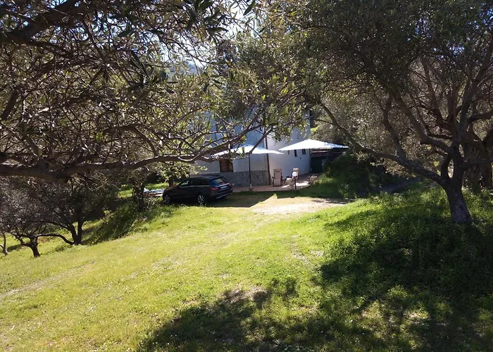 L'antica Quercia Castell'Umberto