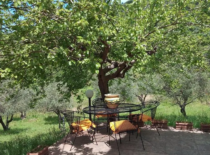 L'antica Quercia Castell'Umberto