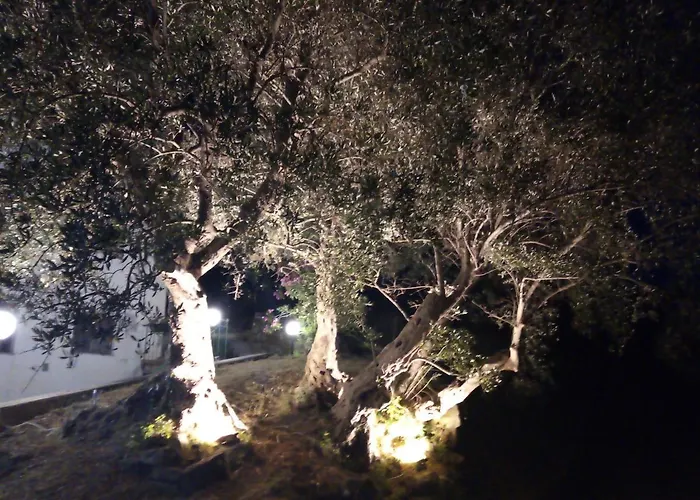 Bed & Breakfast L'antica Quercia 3*