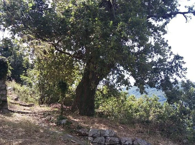 L'antica Quercia Castell'Umberto