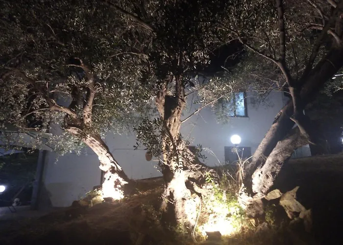 Bed & Breakfast L'antica Quercia 3*