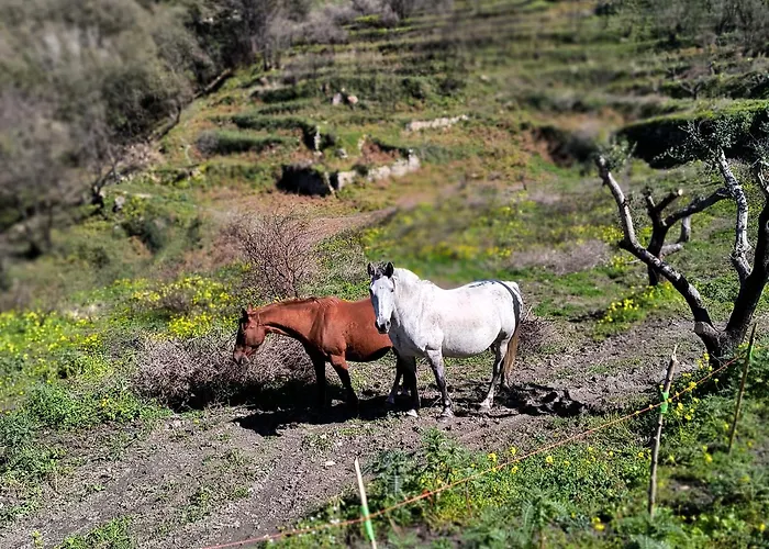 L'antica Quercia 3* Castell'Umberto