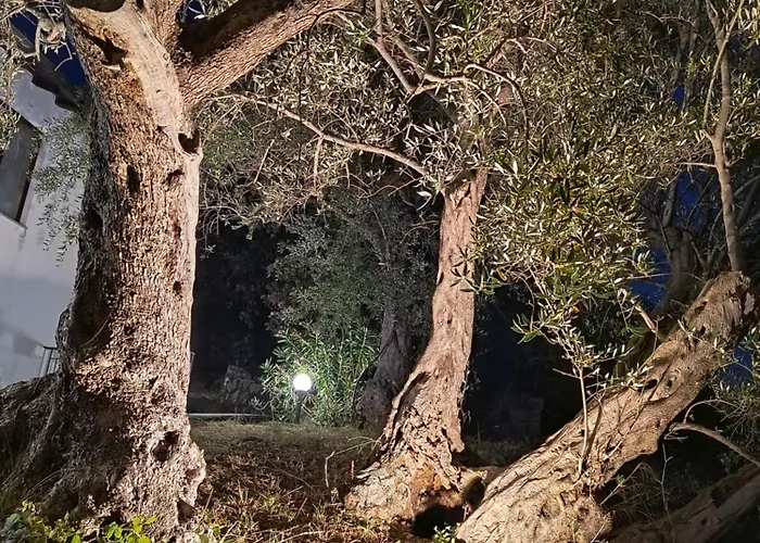 Bed & Breakfast L'antica Quercia 3*