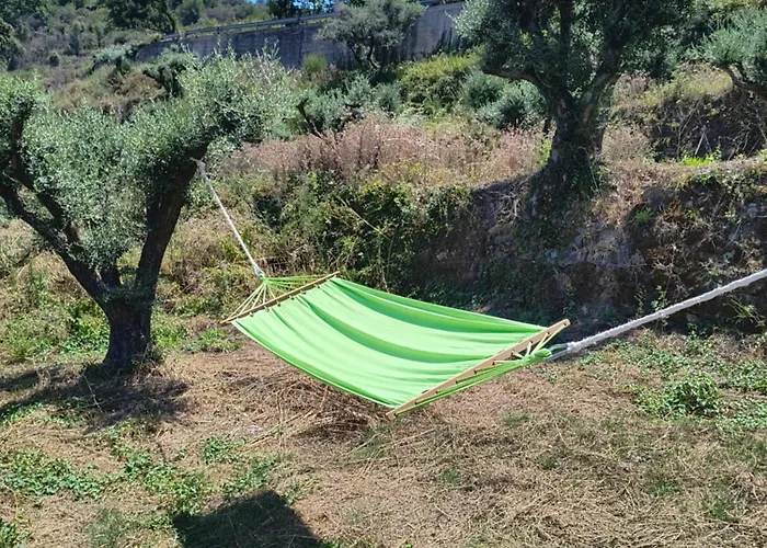 Bed & Breakfast L'antica Quercia