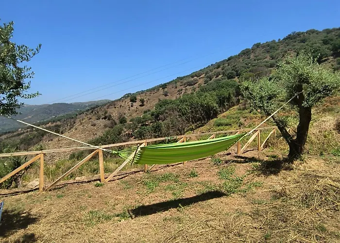 Bed & Breakfast L'antica Quercia 3*